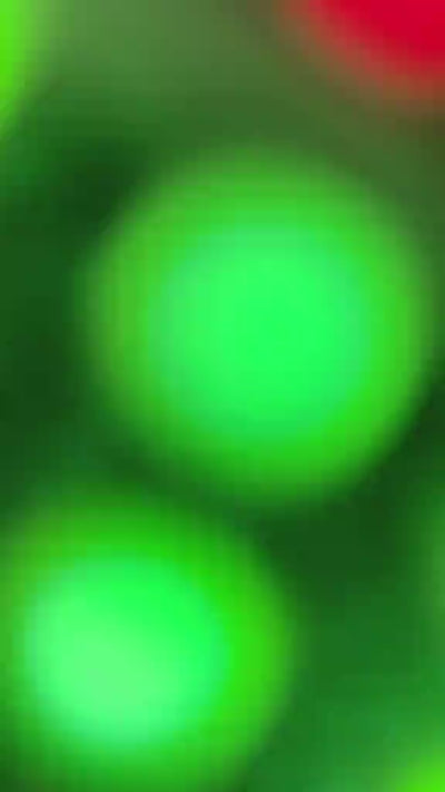Miniatura del reel 1