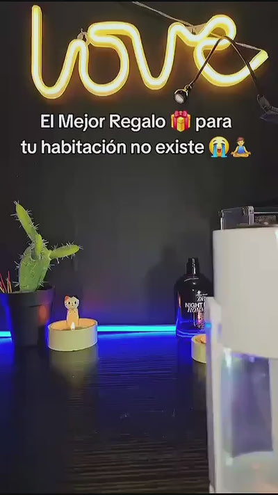 Miniatura del reel 3