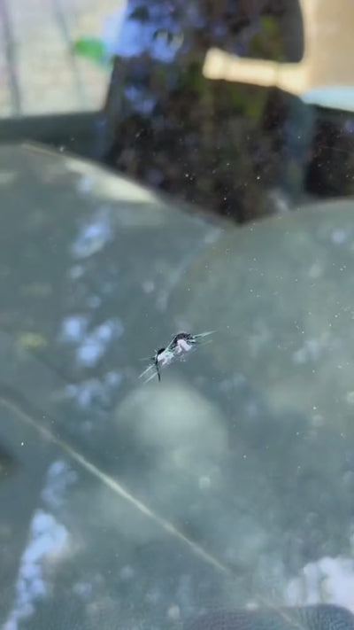 Miniatura del reel 1